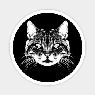 Cat / Haed / Potrtait / Face Magnet